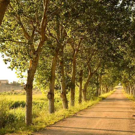 Descubre Somontano Ferienhaus