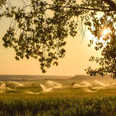 Ferienhaus Descubre Somontano Torres de Alcanadre