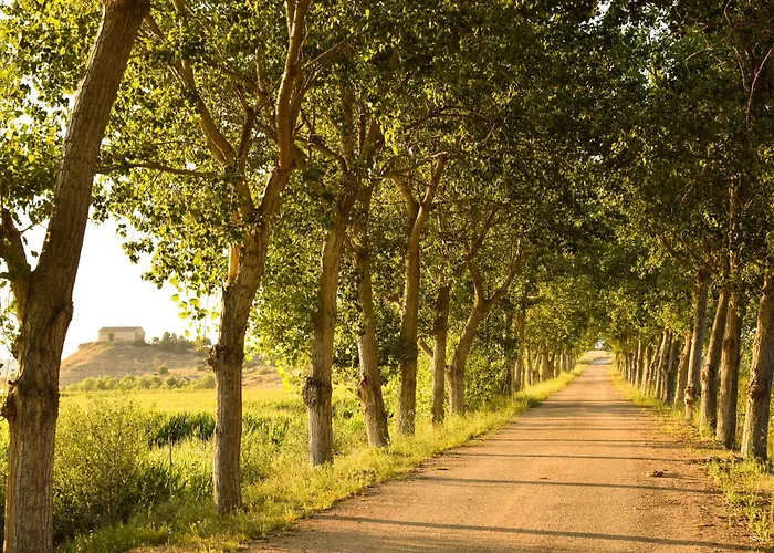 Descubre Somontano Feriehus